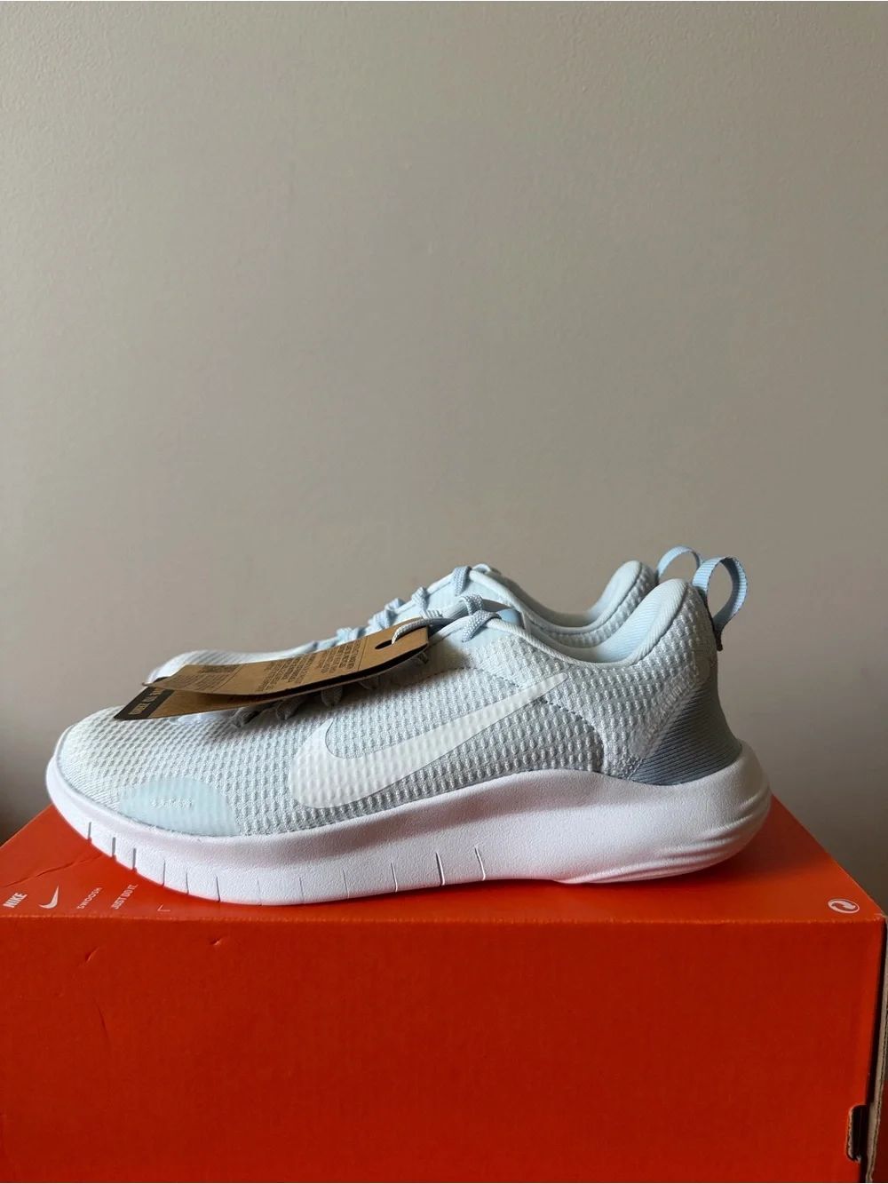 Nike Flex Experience Run 12 Blue Tint DV0746-400 Women’s Size 5.5